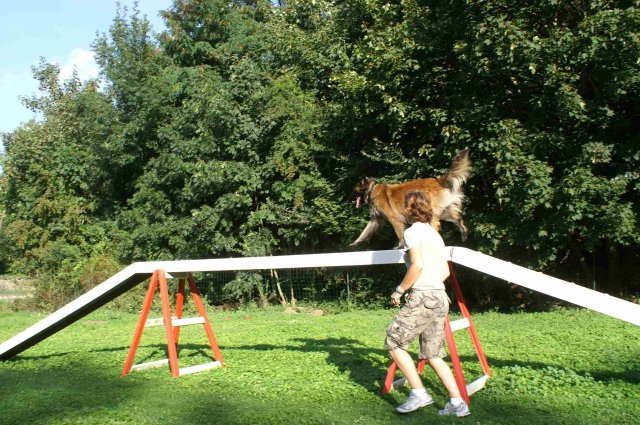 agility 2011-08